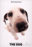 Artlist Collection-The Dog 7 (Dalmatian ) 포켓판