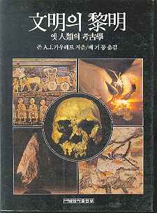 문명의 여명- 옛인류의 고고학(배기동)