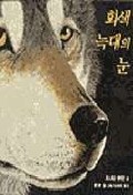 회색 늑대의 눈 (비룡소의 그림동화 56)