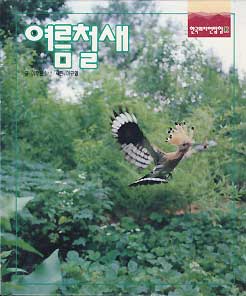 한국의 자연탐험 35 여름 철새