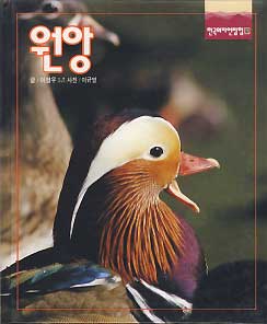 한국의 자연탐험 60 원앙
