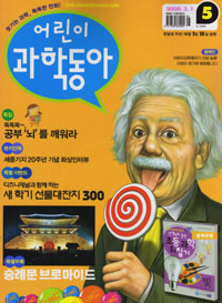 어린이 과학동아 2008.3.1 숭례문 화재보고서