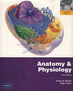 ANATOMY & PHYSIOLOGY (4판)