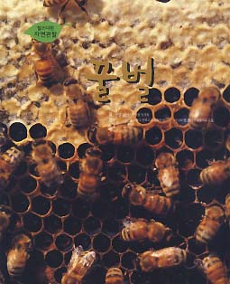 꿀벌 (찰스다윈 자연관찰)