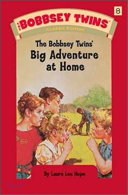 THE BOBBSEY TWINS BIG ADVENTURE AT HOME
