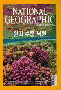 내셔널 지오그래픽 한국판 2008.7 비룽가 국립공원의 고릴라
